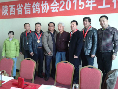 预祝陕西省信鸽协会2015年工作圆满成功