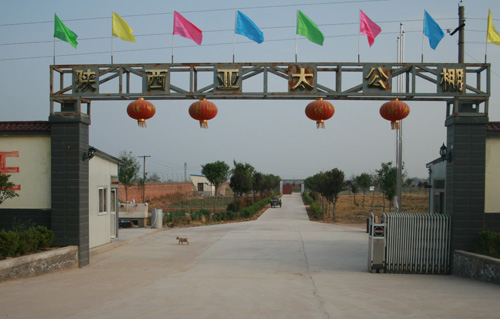 凯鸽赛鸽医院专业服务陕西亚太公棚