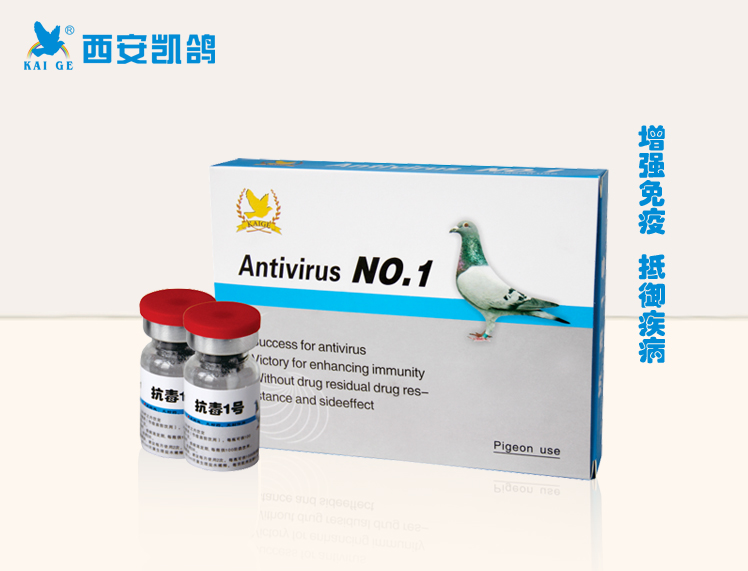    凯鸽鸽药：抗毒一号——赛鸽免疫空白期的保护罩