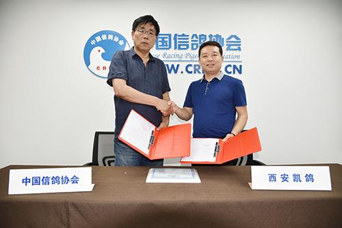 中国信鸽协会为西安凯鸽动物药业有限公司授予2018年度中国信鸽协会支持单位荣誉称号