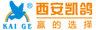 凯鸽集团
