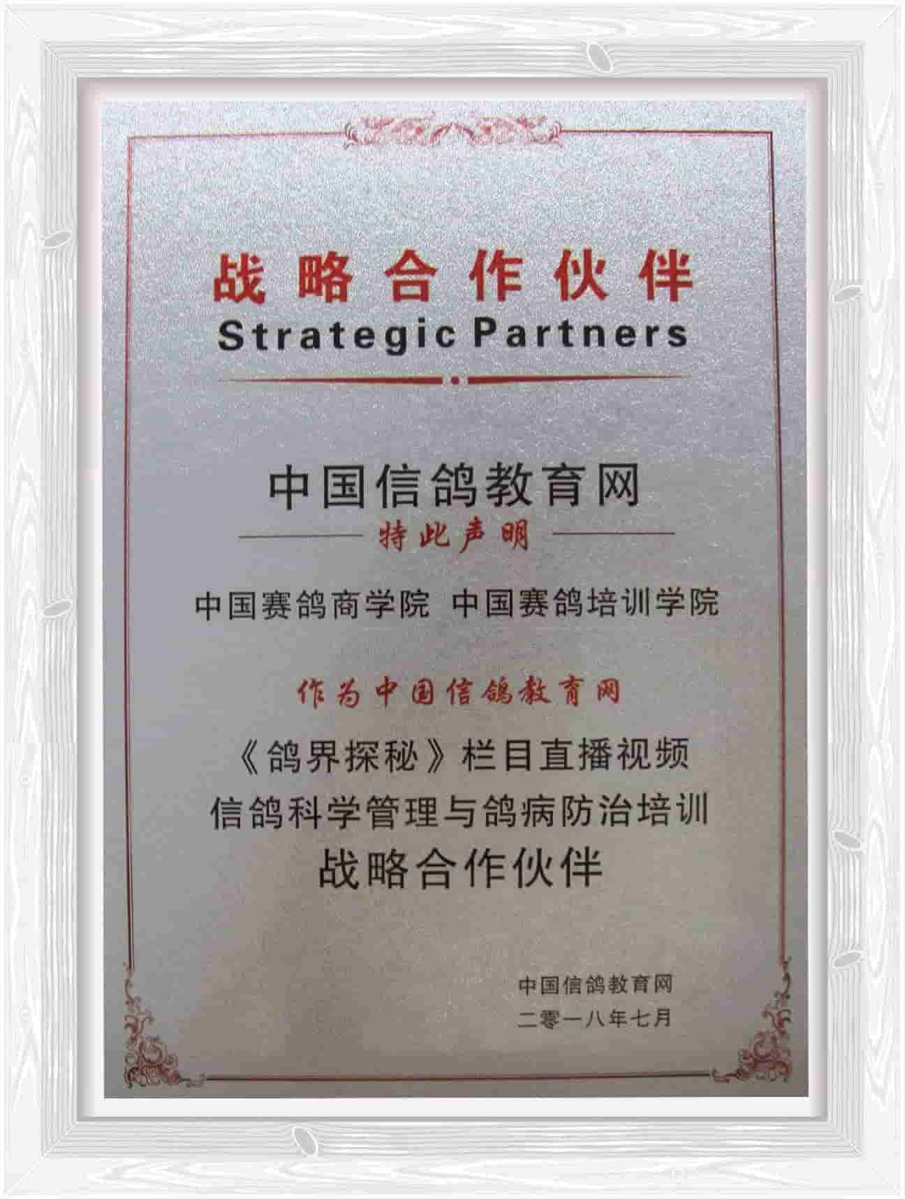 中国信鸽教育网战略合作伙伴