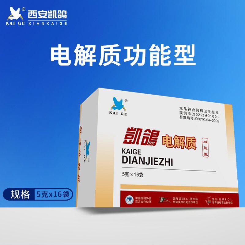 电解质（功能型）