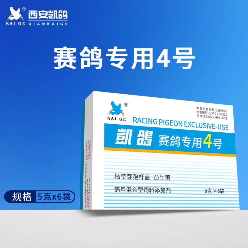 凯鸽4号