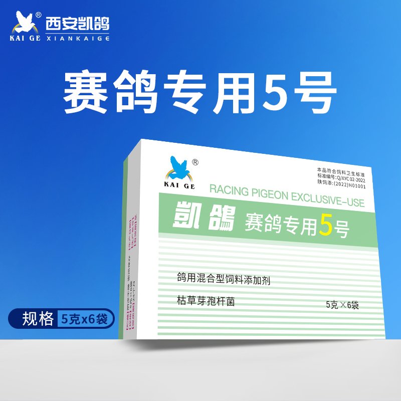 凯鸽5号